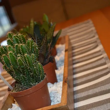 Apartment Poncinvs