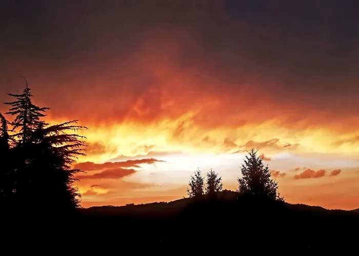 Poncinvs Appartamento