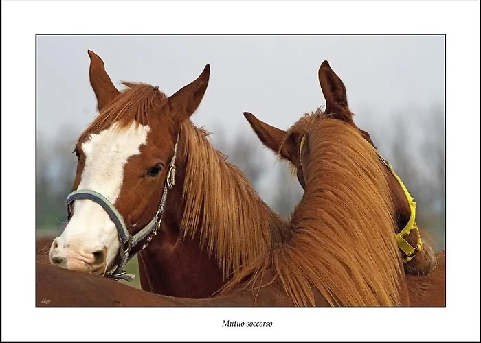 Poncinvs Appartamento